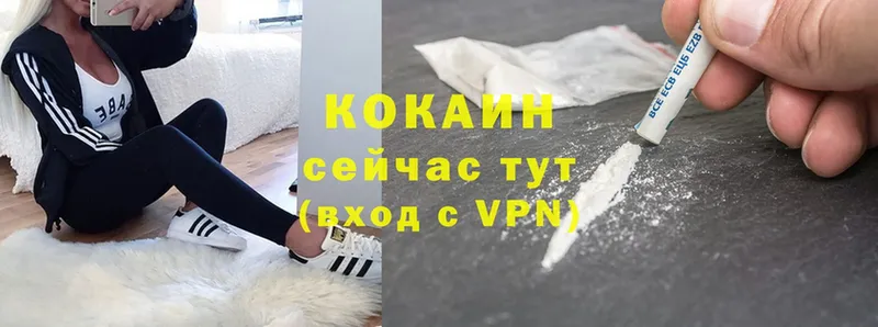 Cocaine FishScale  Родники 